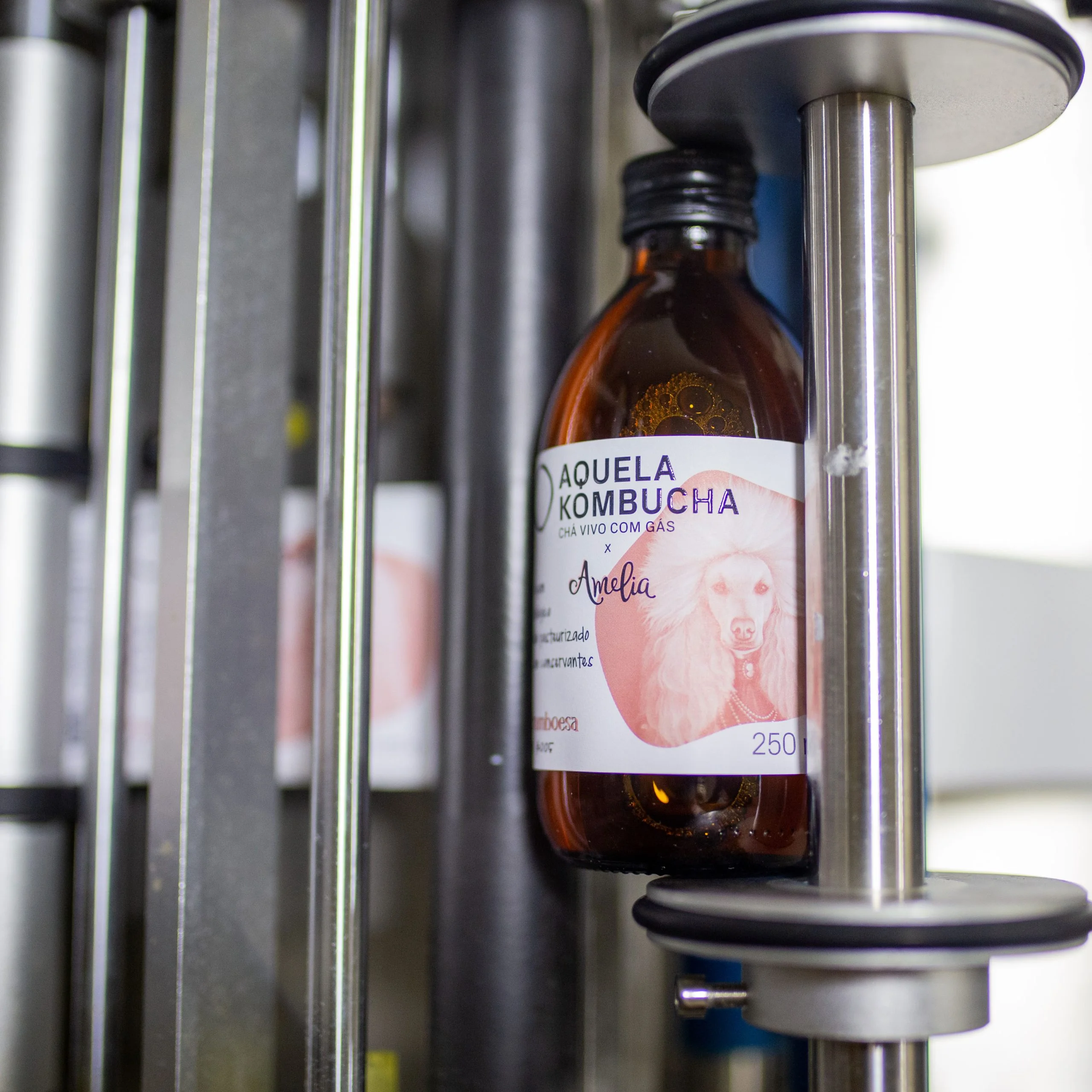 Esa Kombucha Amelia Frambuesa 3