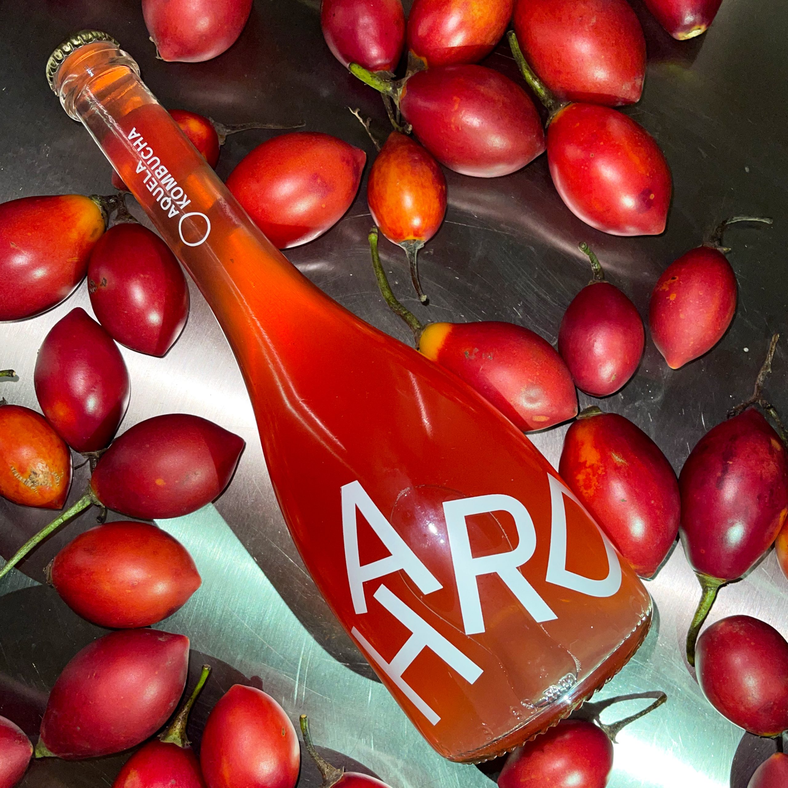 Aquela Kombucha Hard Tamarilho 2
