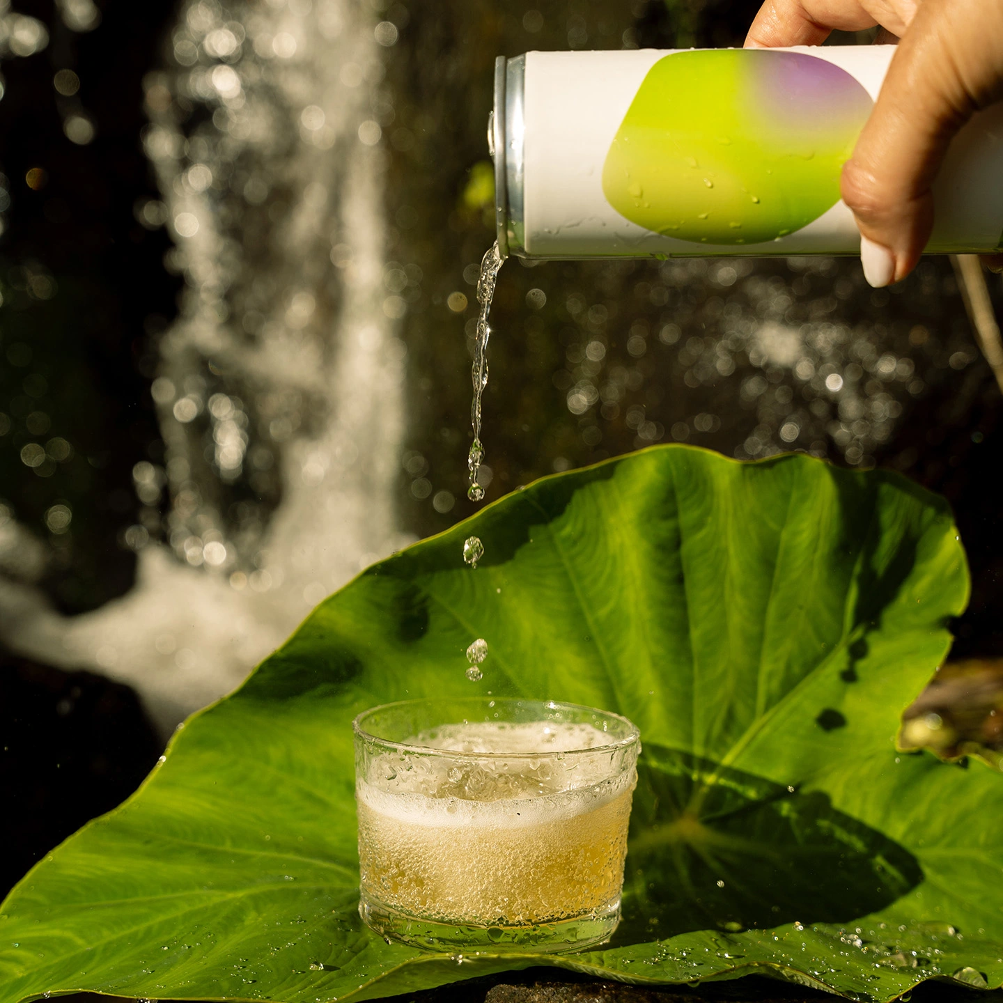 aquela kombucha citrus tropical lata 25cl