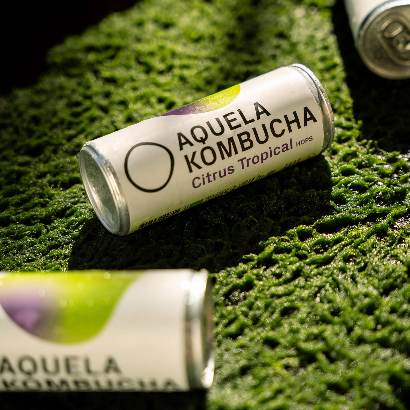 aquela kombucha citrus tropical lata 25cl