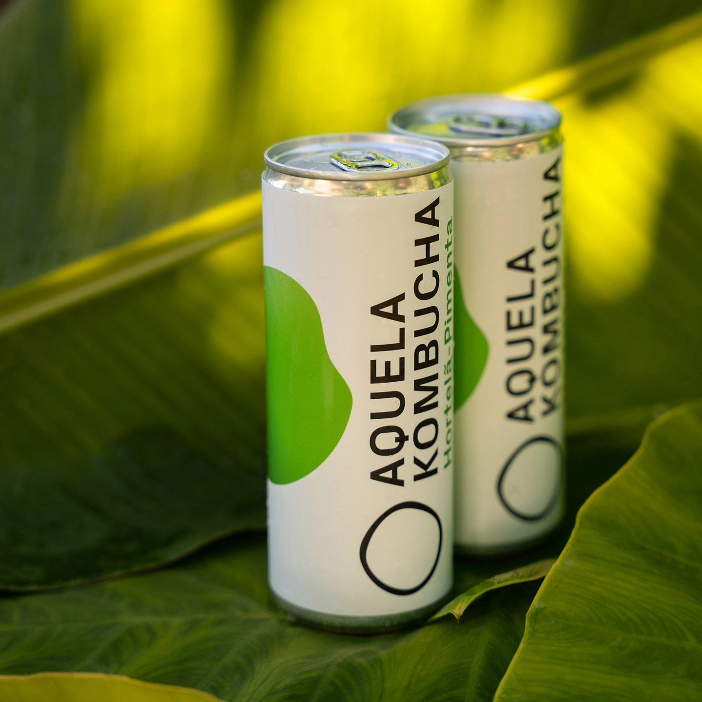 aquela kombucha hortela-pimenta lata 25cl