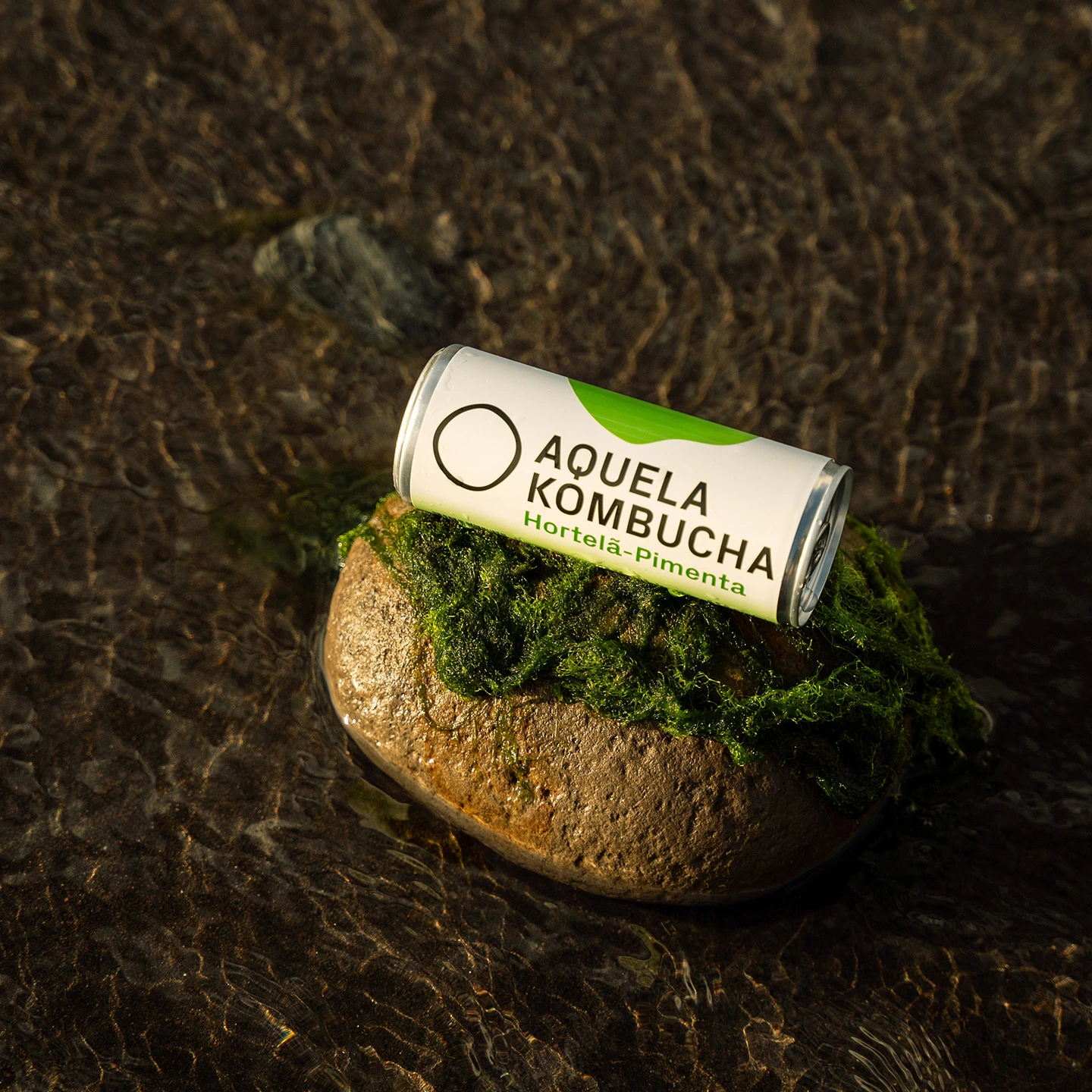 aquela kombucha hortela-pimenta lata 25cl