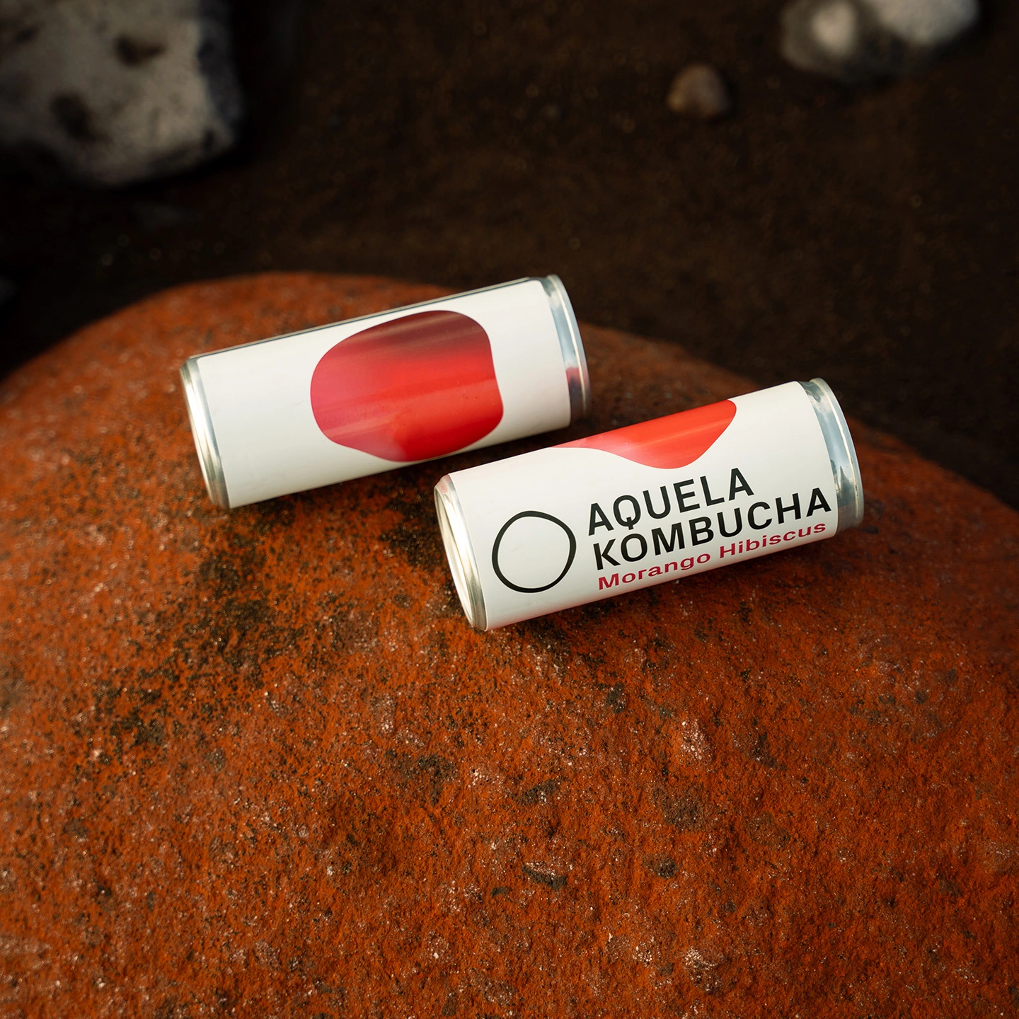 aquela kombucha morango hibiscus lata 25cl
