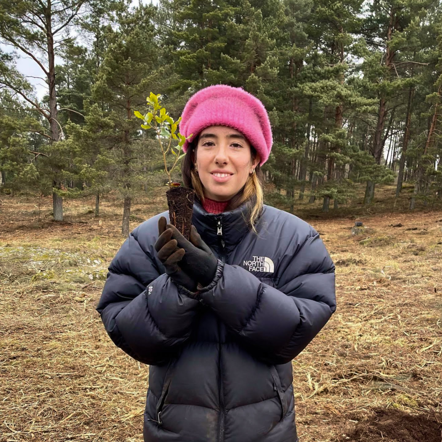 Sustentabilidade AK_1