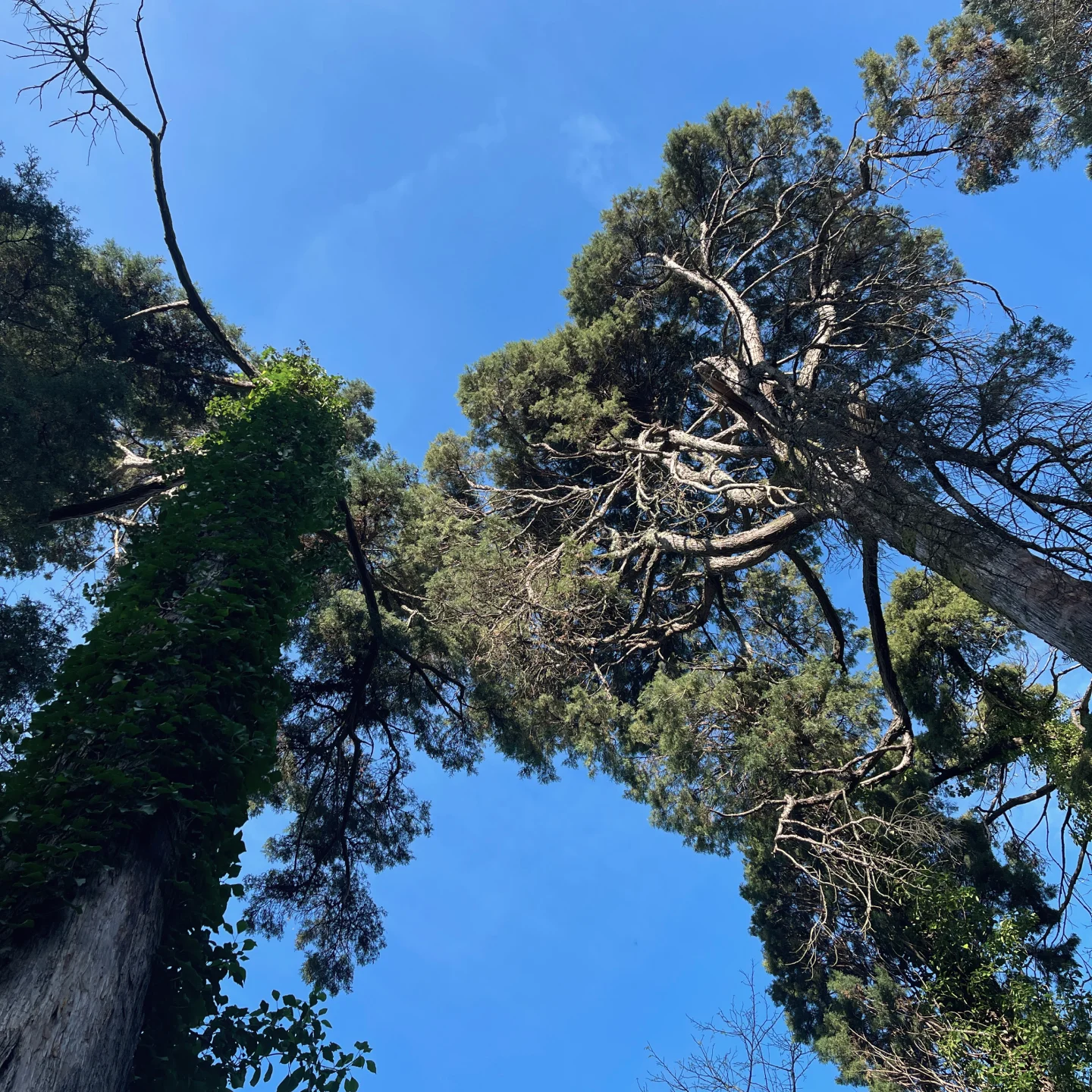 Sustentabilidade AK_2