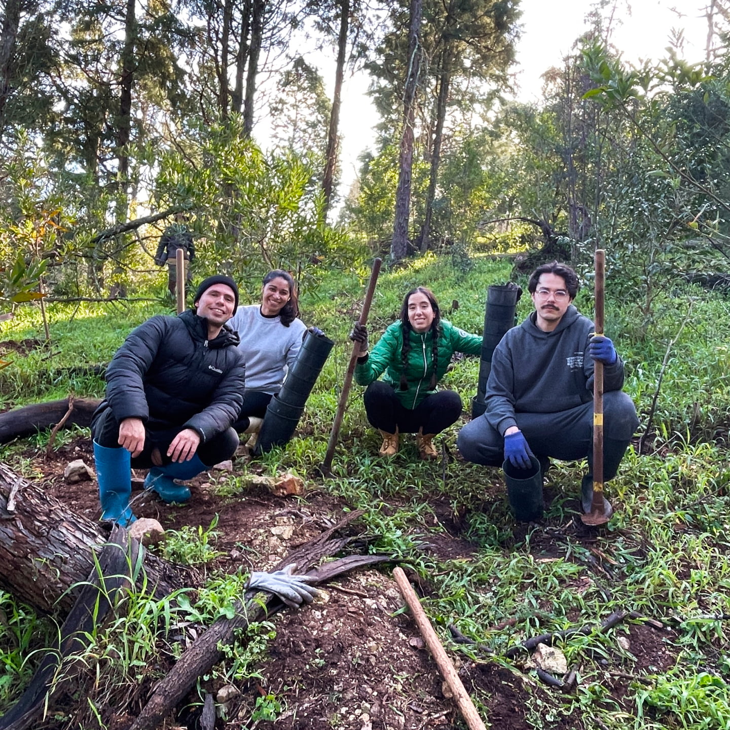 Sustentabilidade AK_4