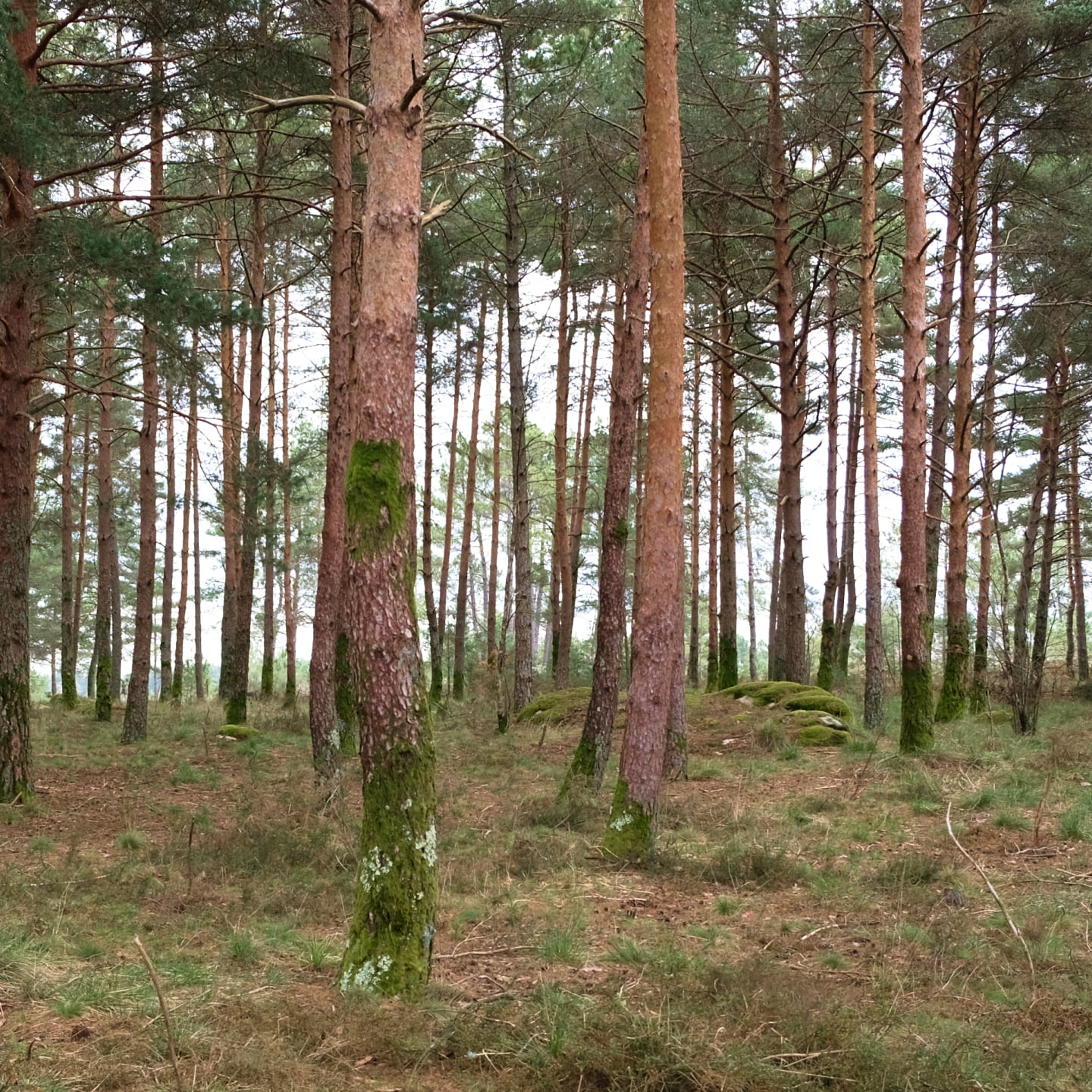 Sustentabilidade AK_5