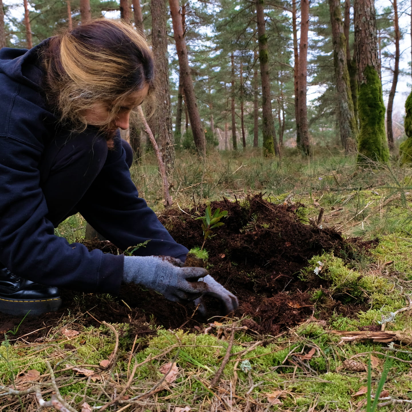 Sustentabilidade AK_6