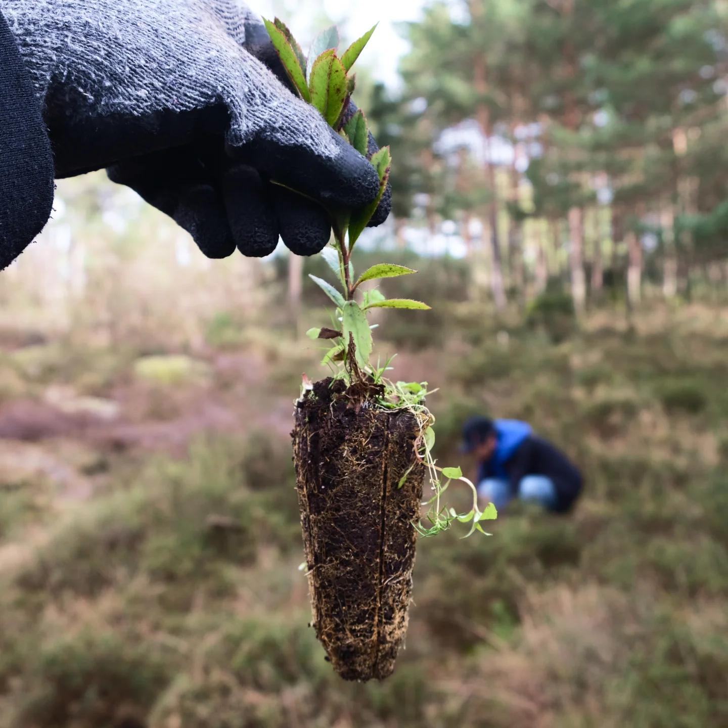 Sustentabilidade AK_8