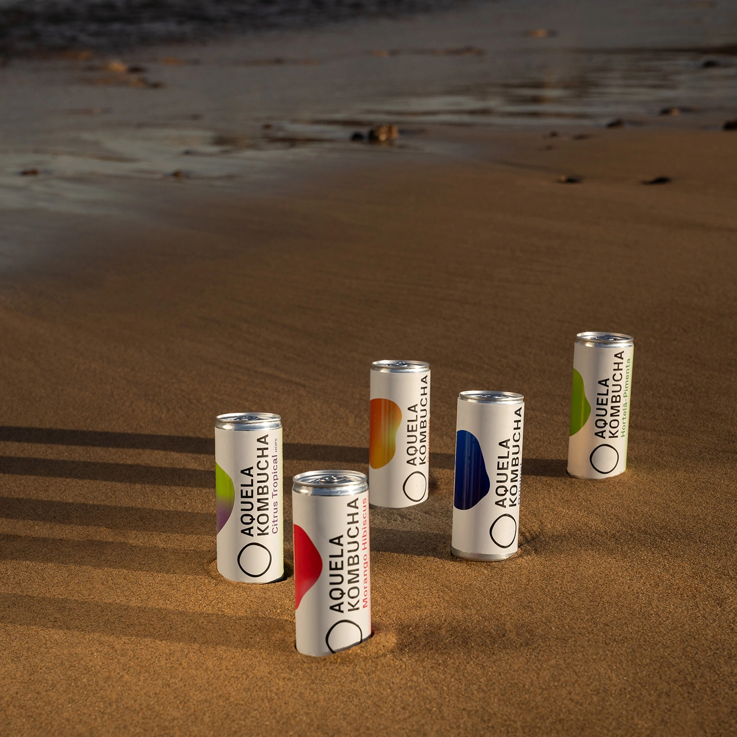 Que Pack Kombucha Personalizado Lata 25cl